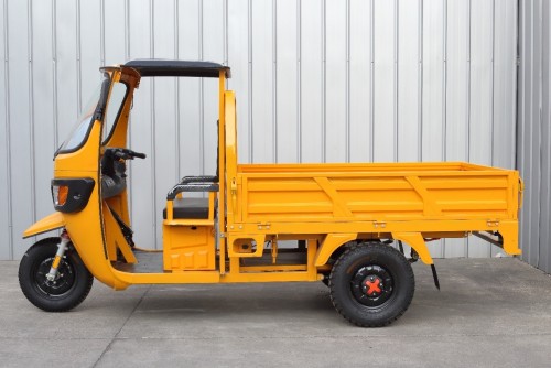 Wolf Qingsan drove the truck Three Door Truck 1.1m